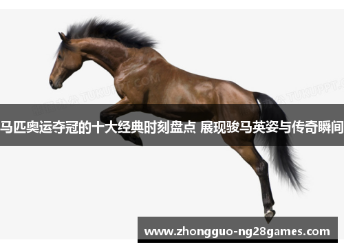 马匹奥运夺冠的十大经典时刻盘点 展现骏马英姿与传奇瞬间